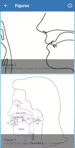 Play English Phonetics  and enjoy English Phonetics with UptoPlay