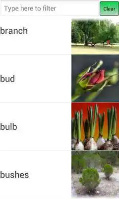 Play English Picture Dictionary 14 Play English Picture Dictionary 14