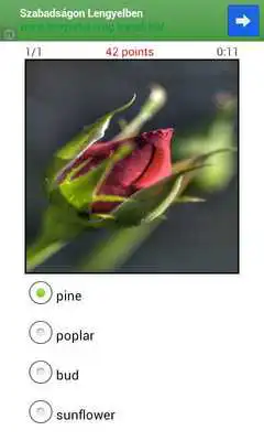 Play English Picture Dictionary 14 Play English Picture Dictionary 14