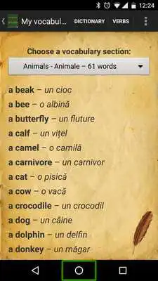 Play English Romanian English Dictionary Play English Romanian English Dictionary