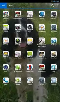 Play English Springer Spaniel Theme