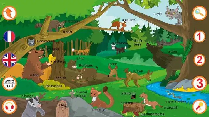 Play English - The forest