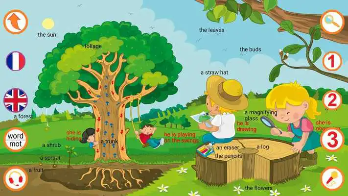 Play English - The forest