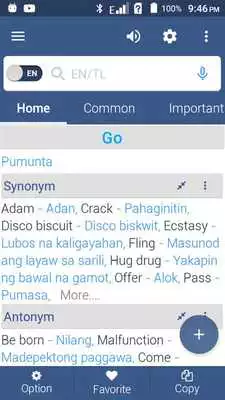 Play English To Filipino Dictionary Lite
