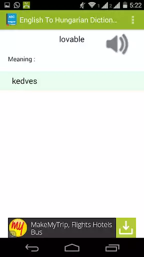 Play English to Magyar Dictionary