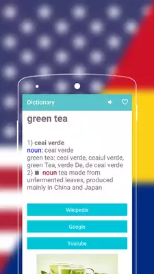 Play English to Romanian Dictionary - Free Translator