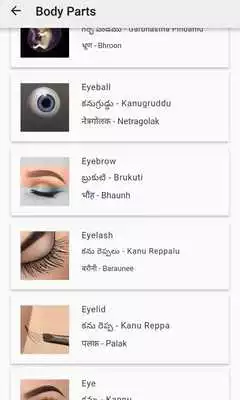 Play English to Telugu, Hindi