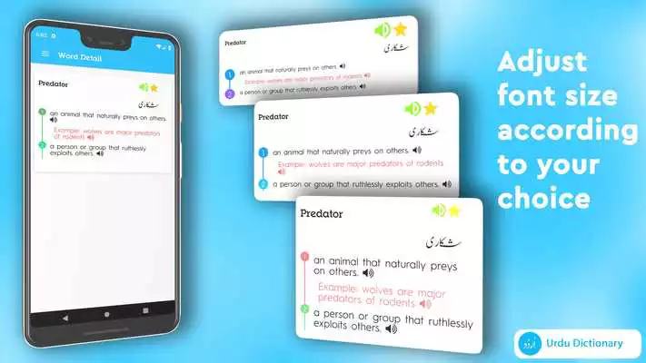 Play English To Urdu Dictionary