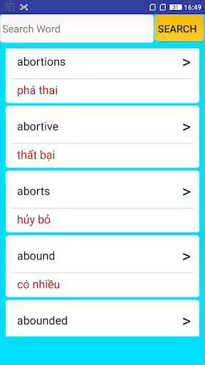 Play English to Vietnamese Dictionary
