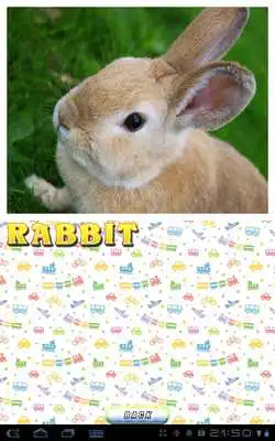 Play English Vocabulary HD