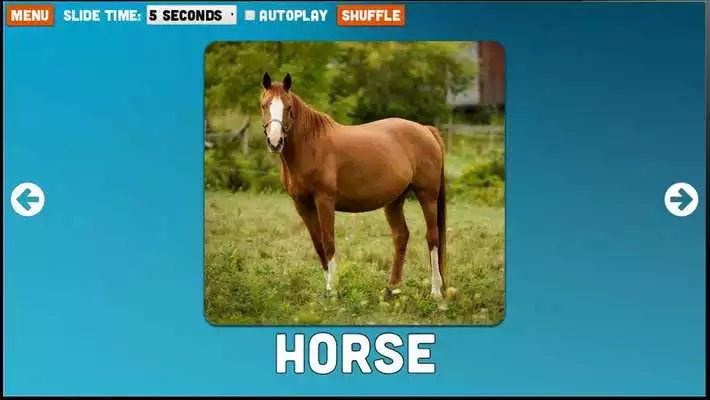 Play English Word Cards Nature