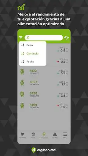 Play Engorde as an online game Engorde with UptoPlay