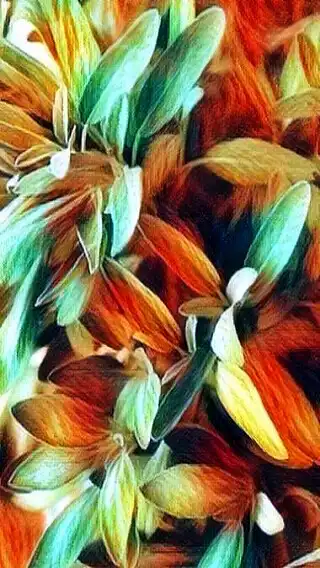 Play Eniq wallpaper  and enjoy Eniq wallpaper with UptoPlay