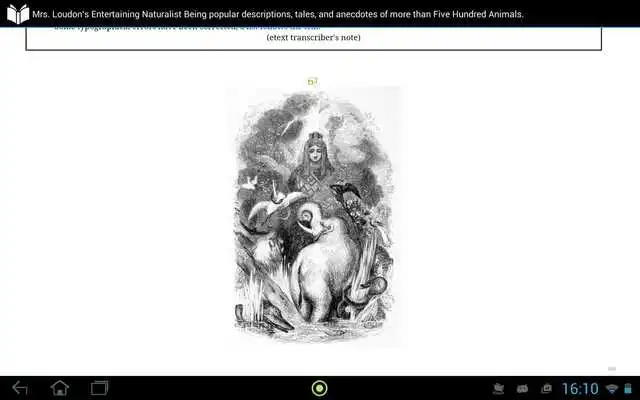 Play Entertaining Naturalist