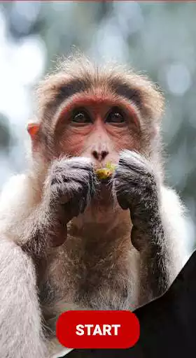 Play Entertainment Funny Videos  and enjoy Entertainment Funny Videos with UptoPlay