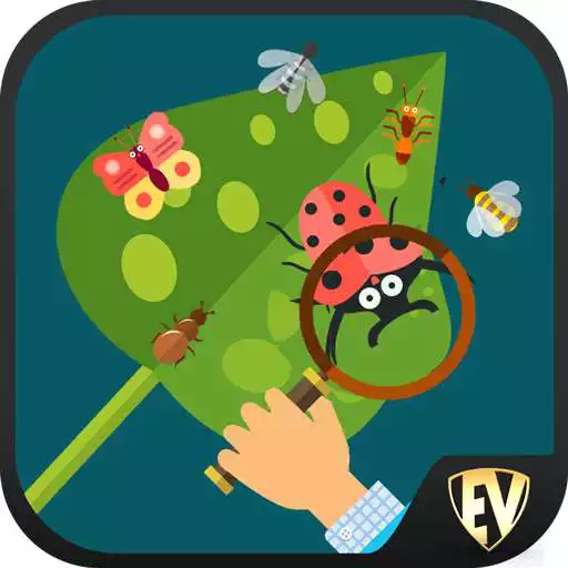 Play Entomology Dictionary Offline: Insect Encyclopedia APK