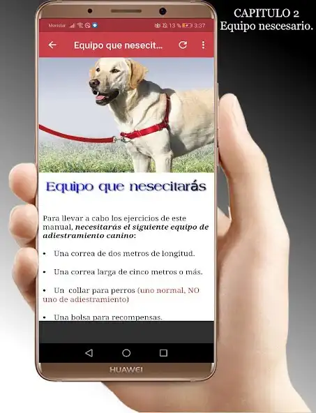 Play Entrenamiento Canino