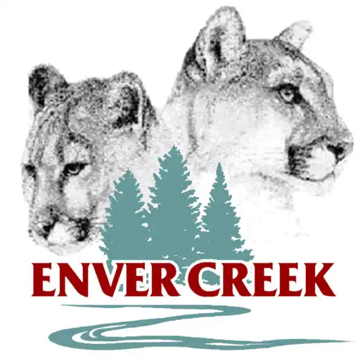 Play Enver Creek 2 Go APK Play Enver Creek 2 Go APK
