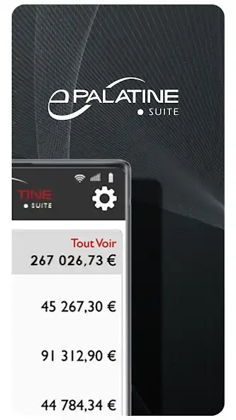Play ePalatine SUITE as an online game ePalatine SUITE with UptoPlay
