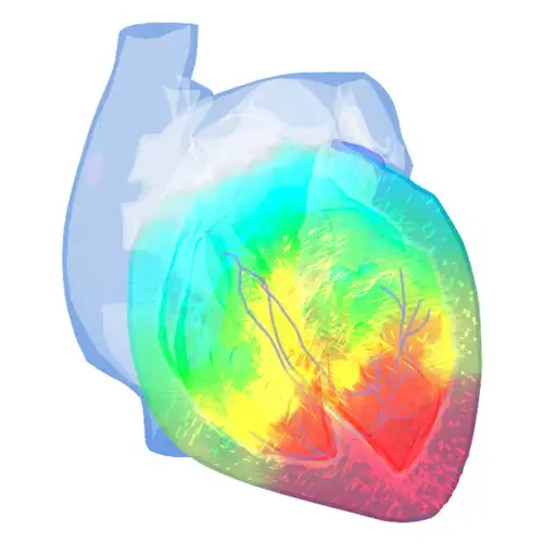Play Epicardio Heart Simulator APK Play Epicardio Heart Simulator APK