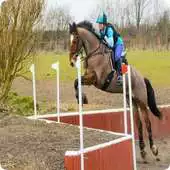 Free play online Equestrian jumps APK Free play online Equestrian jumps APK
