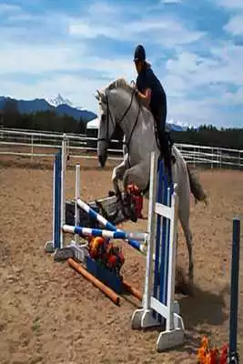Play Equestrian jumps