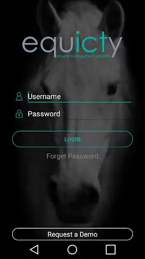 Play equicty