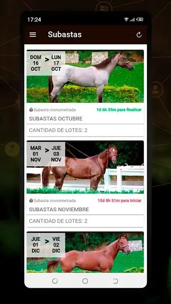 Play Equinabursatil Subastas as an online game Equinabursatil Subastas with UptoPlay