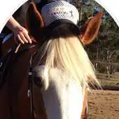 Free play online Equine Diatom APK