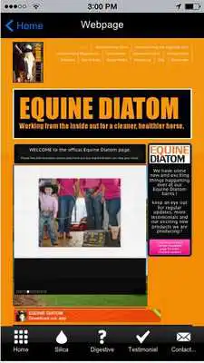 Play Equine Diatom