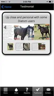 Play Equine Diatom