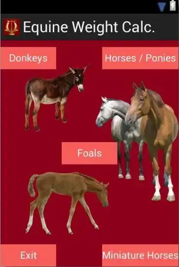 Play Equine Weight Calculator  and enjoy Equine Weight Calculator with UptoPlay