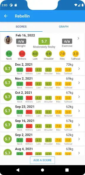 Play Equine Weight Management as an online game Equine Weight Management with UptoPlay