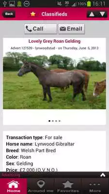Play Equirodi - Horse Marketplace
