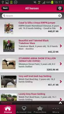 Play Equirodi - Horse Marketplace