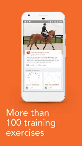 Play Equisense - Horse riding improvement as an online game Equisense - Horse riding improvement with UptoPlay