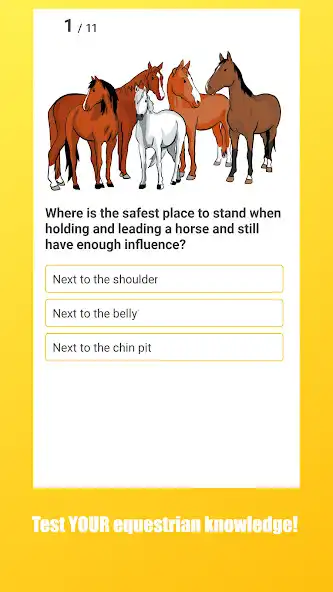 Play EQUIz - Horse App as an online game EQUIz - Horse App with UptoPlay