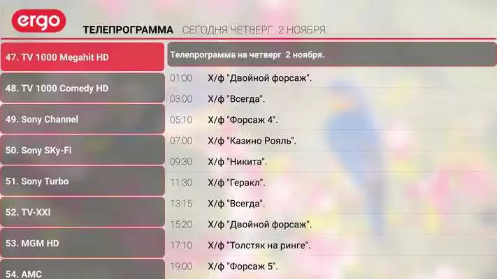 Play ERGO TV