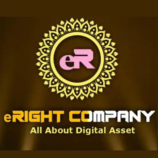 Play ERightPay VTU APK