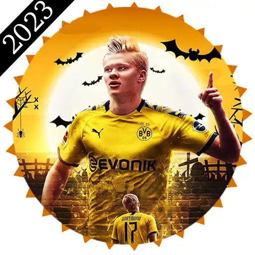 Play Erling Haaland Stickers for WA APK Play Erling Haaland Stickers for WA APK