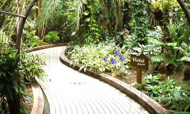 Play Escape From Botanical Garden