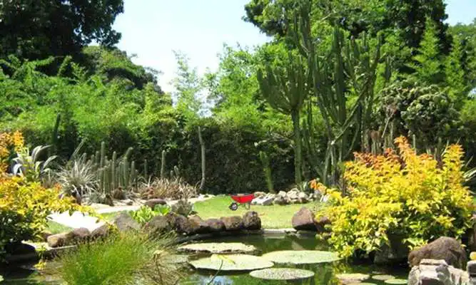 Play Escape From Botanical Garden