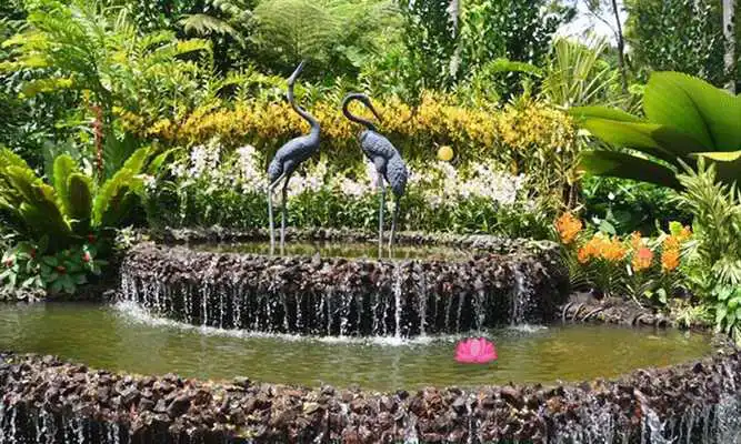 Play Escape From Botanical Garden