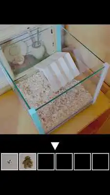 Play Escape from GirlsRoom
