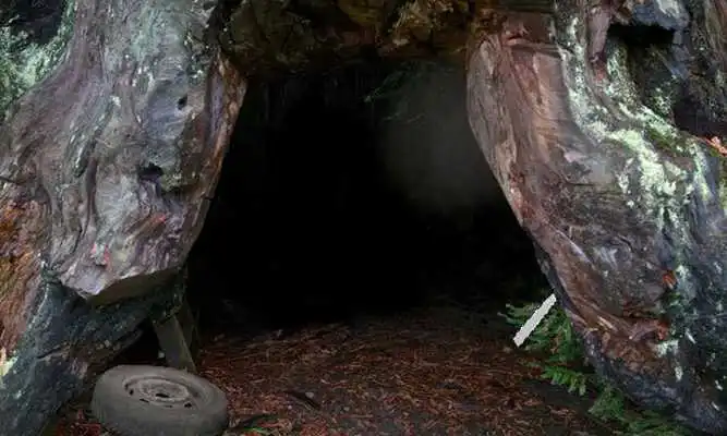 Play Escape From Sequoia Monument