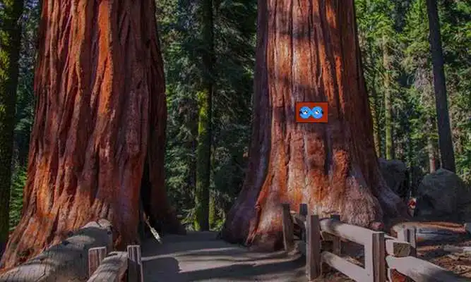Play Escape From Sequoia Monument