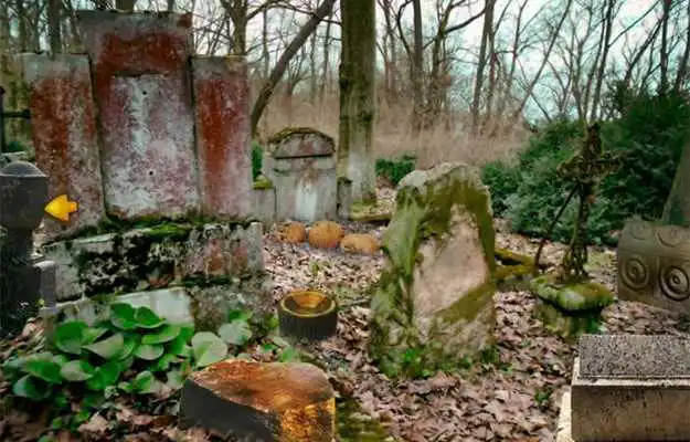 Play Escape Game-Abandoned Cemetery Play Escape Game-Abandoned Cemetery