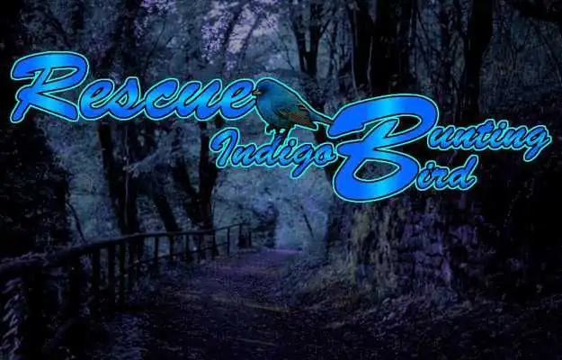 Play Escape Games Day-73