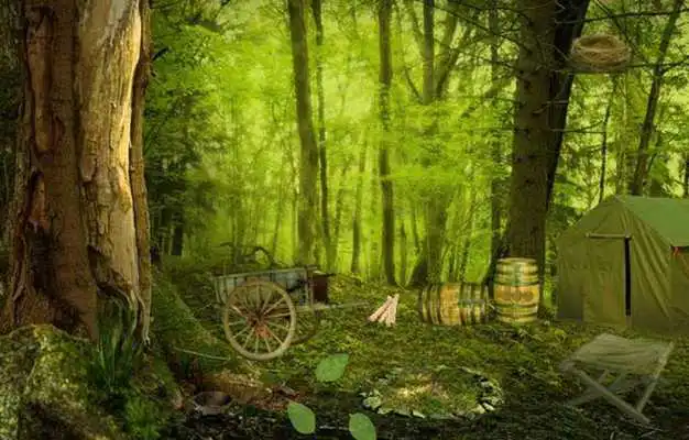 Play Escape Game Studio - Mysterious Forest