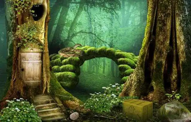 Play Escape Game Studio - Mysterious Forest